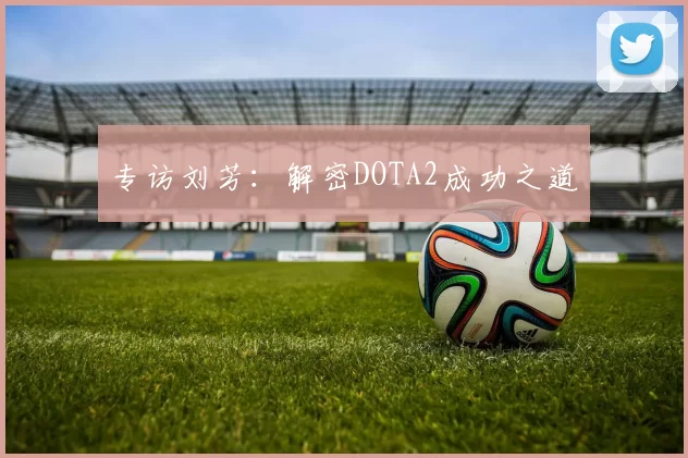 专访刘芳：解密DOTA2成功之道