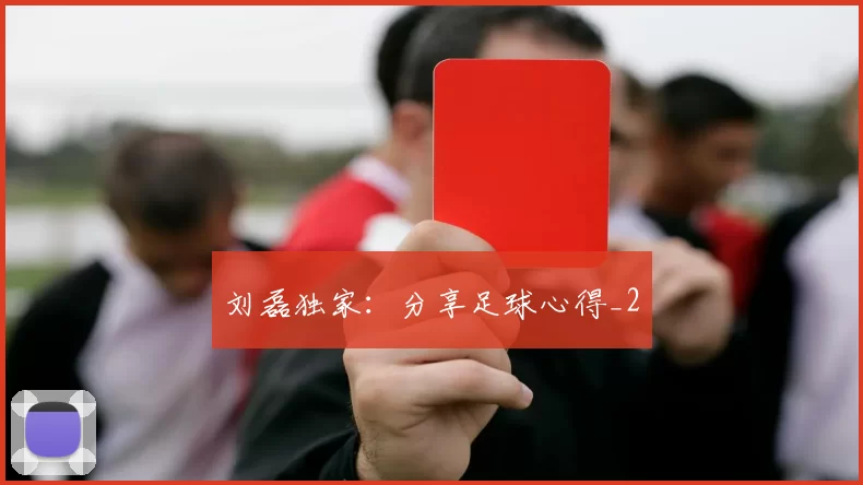 刘磊独家：分享足球心得_2