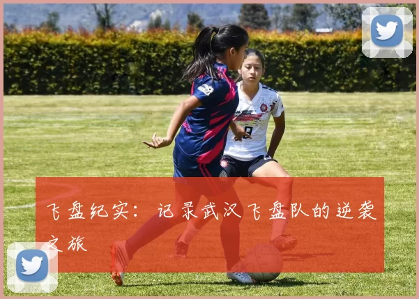 飞盘纪实：记录武汉飞盘队的逆袭之旅