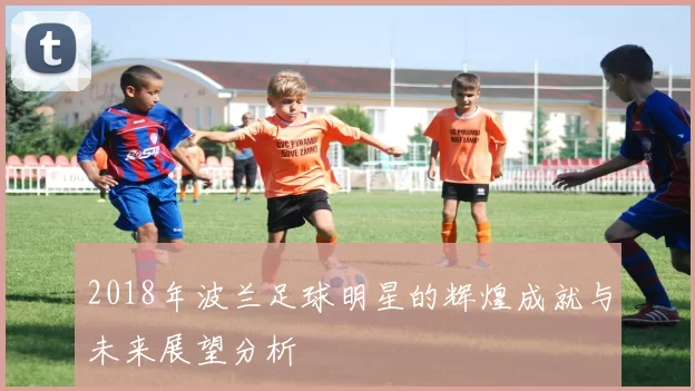 2018年波兰足球明星的辉煌成就与未来展望分析