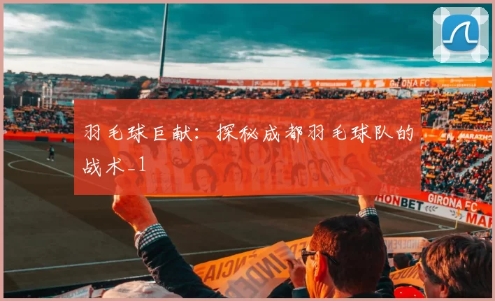 羽毛球巨献：探秘成都羽毛球队的战术_1