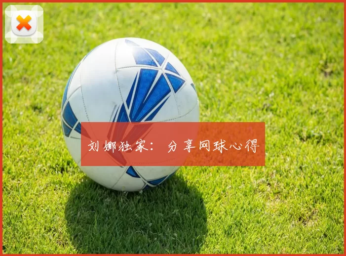 刘娜独家：分享网球心得