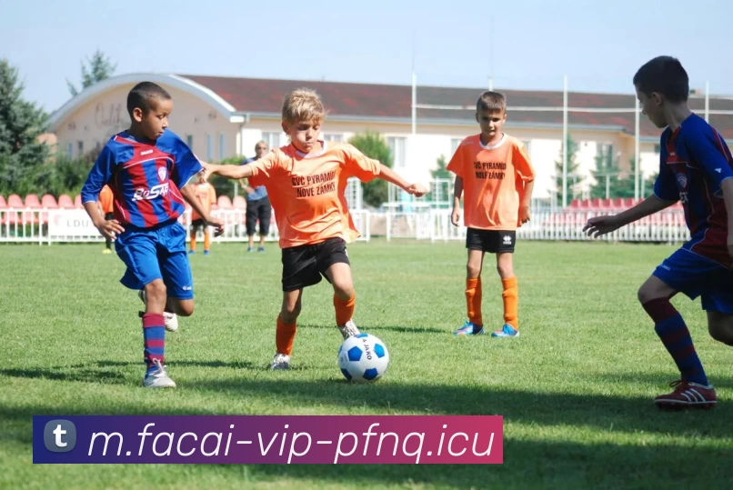 米兰体育服务体系